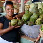 Haitian woman selling fruit at a market